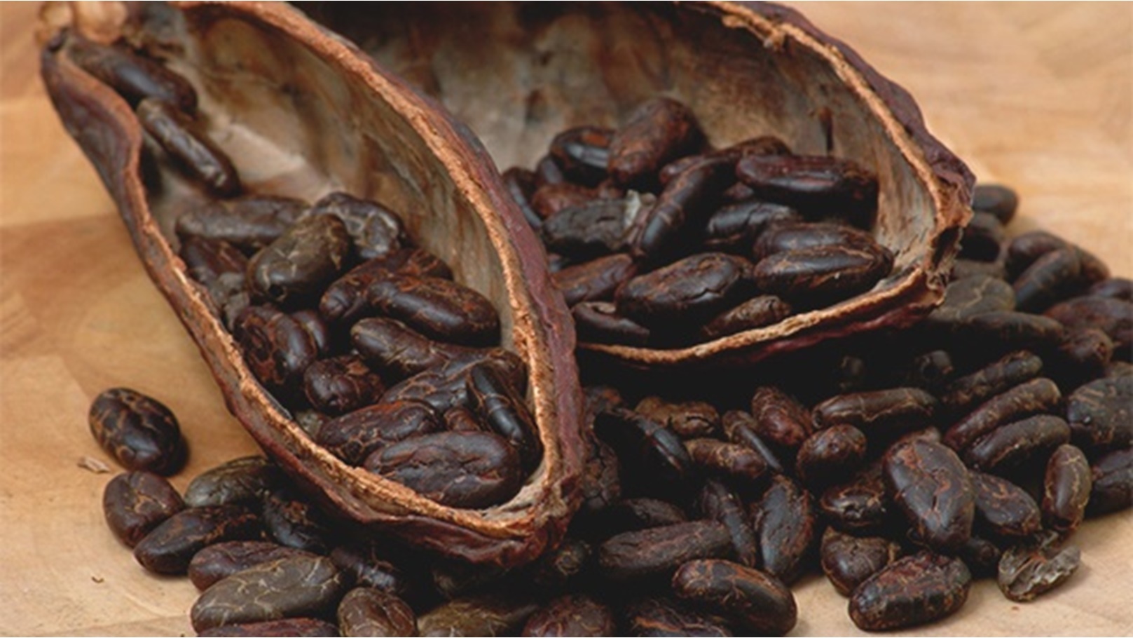 polza-i-vred-kakao-bobov