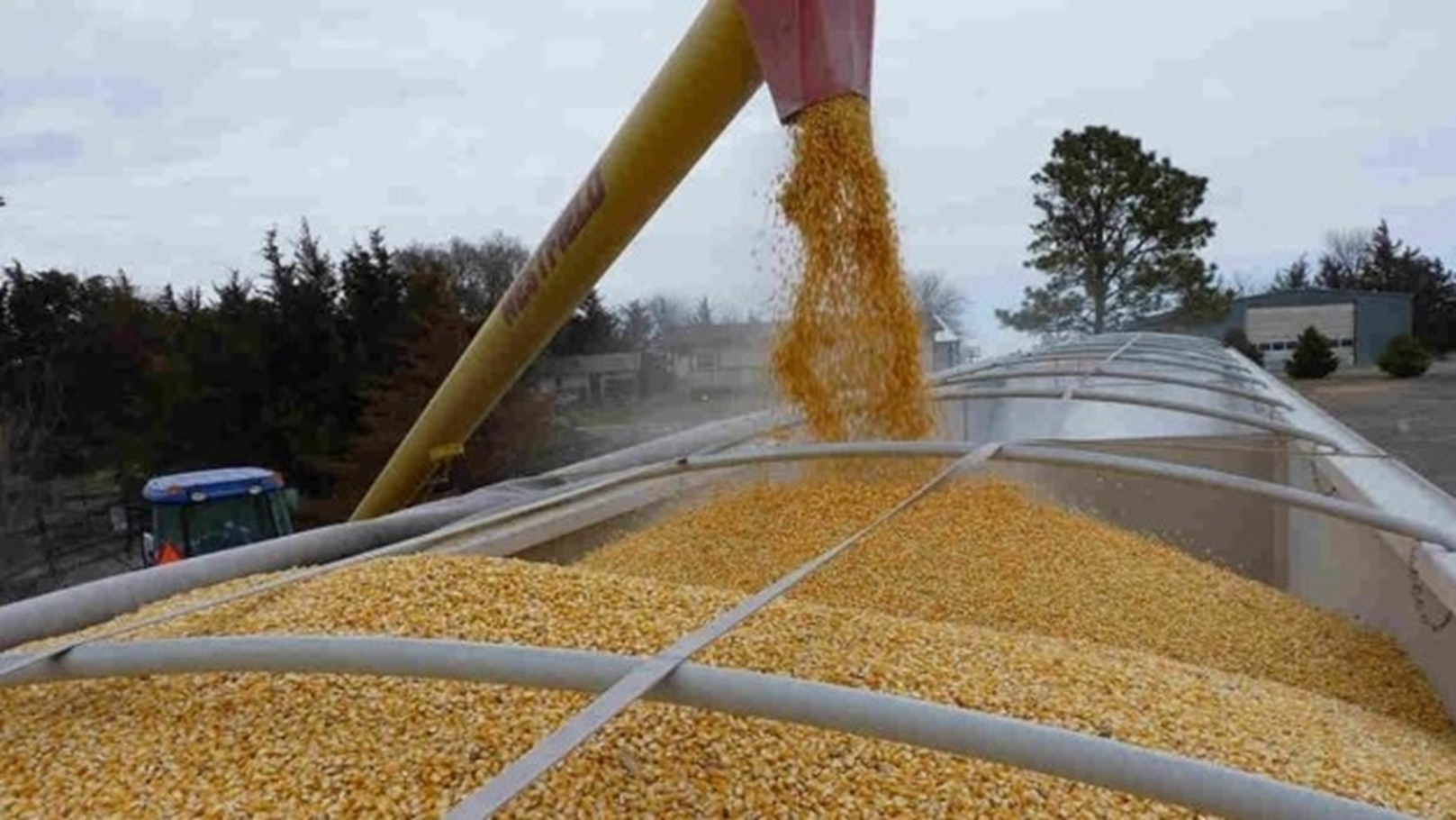 produktna-berza-novi-sad