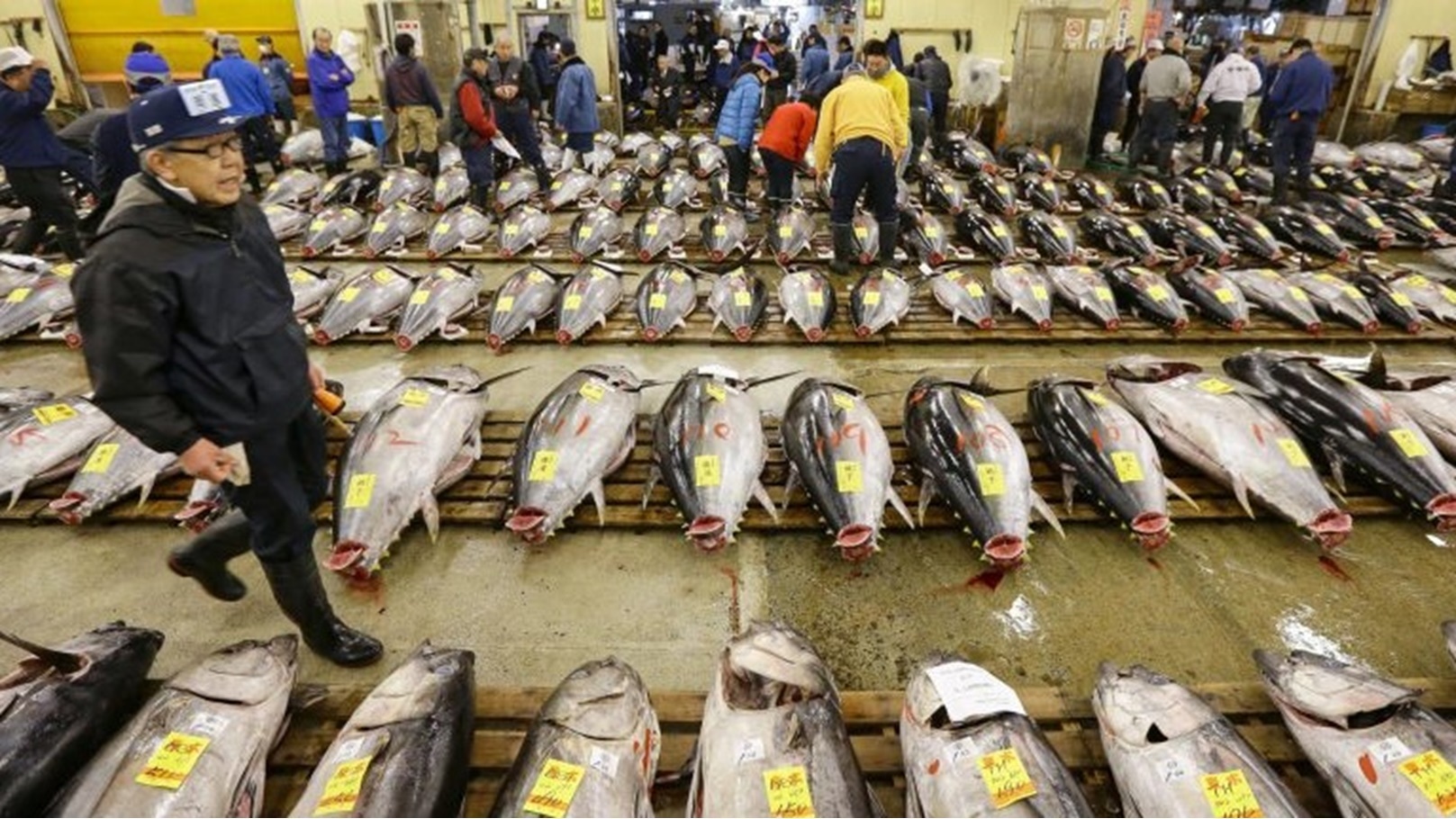 header-illegal-japanese-seafood-900x432