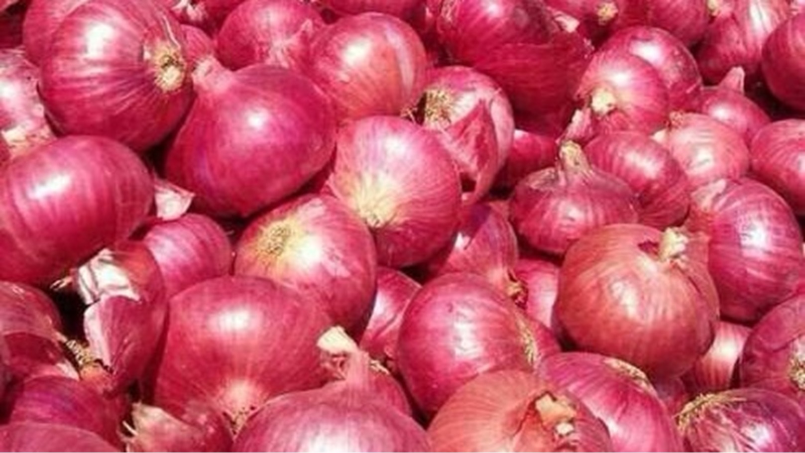 fresh-pink-onion-1589959054-5442470