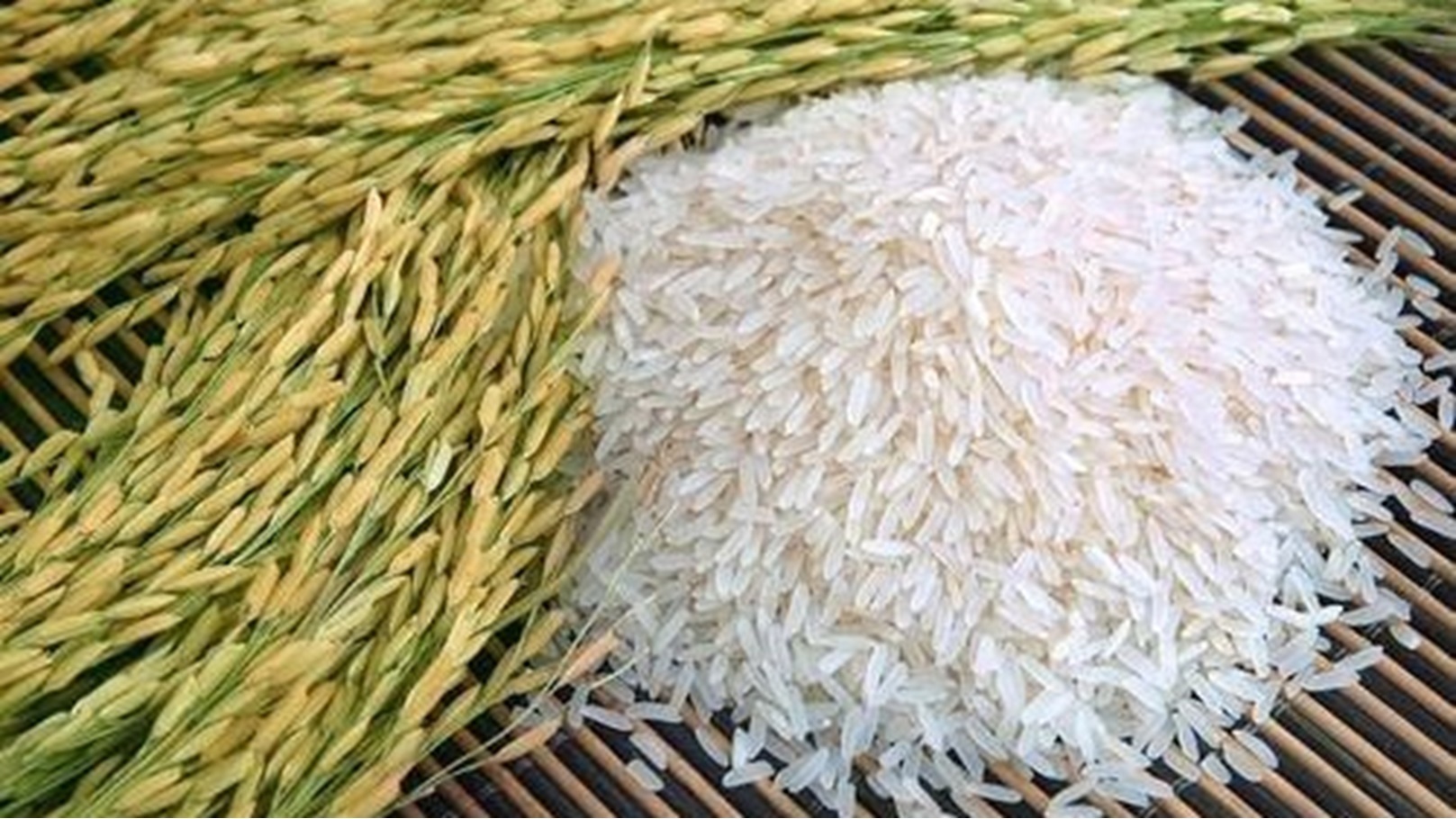 46133168_2074115045986058_4167833622633512960_n