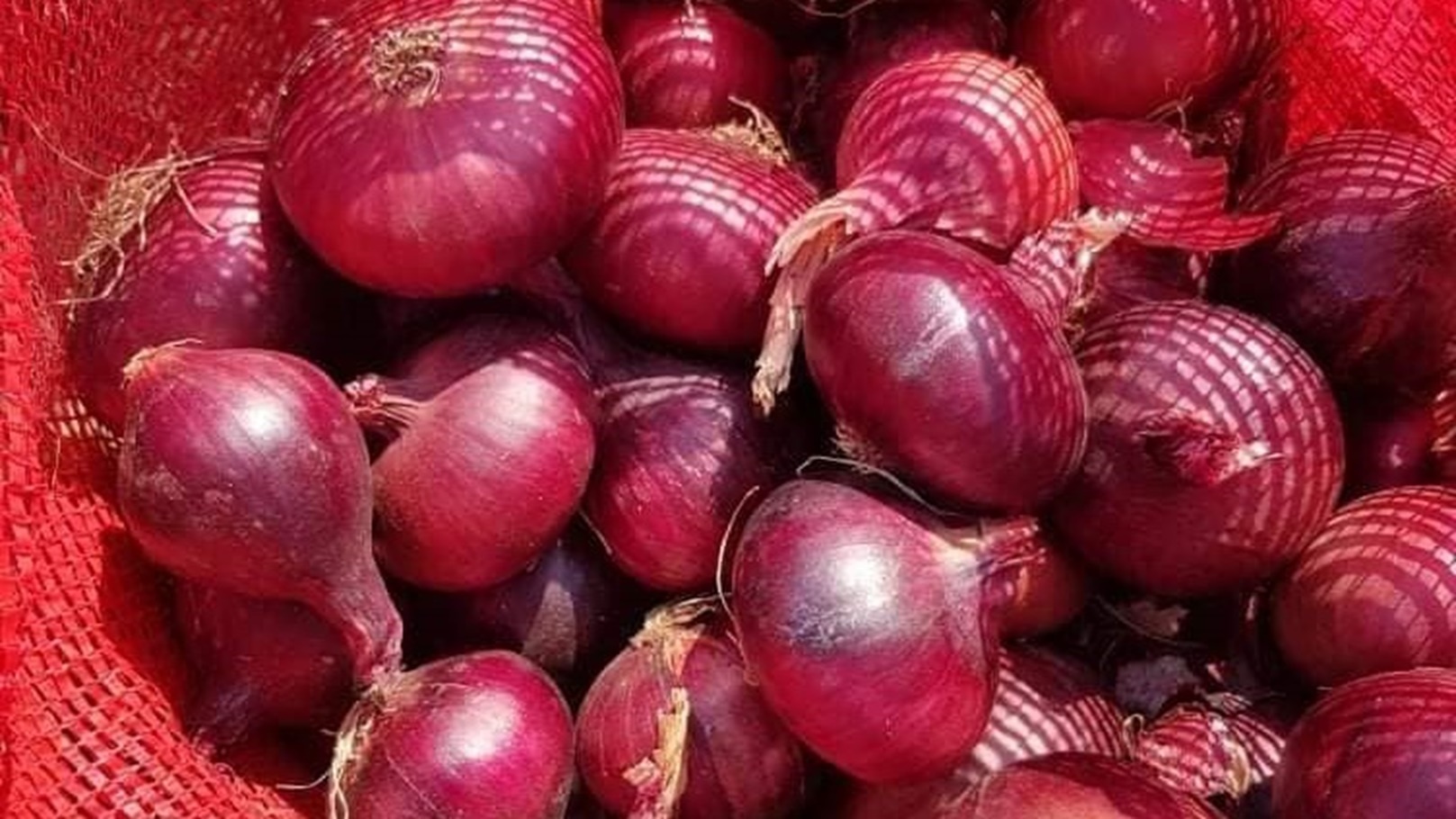 food3051541605664714388667