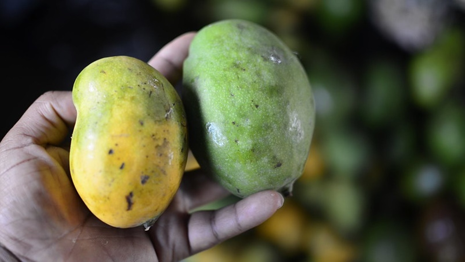 16940707570_75ac1a31a0_c