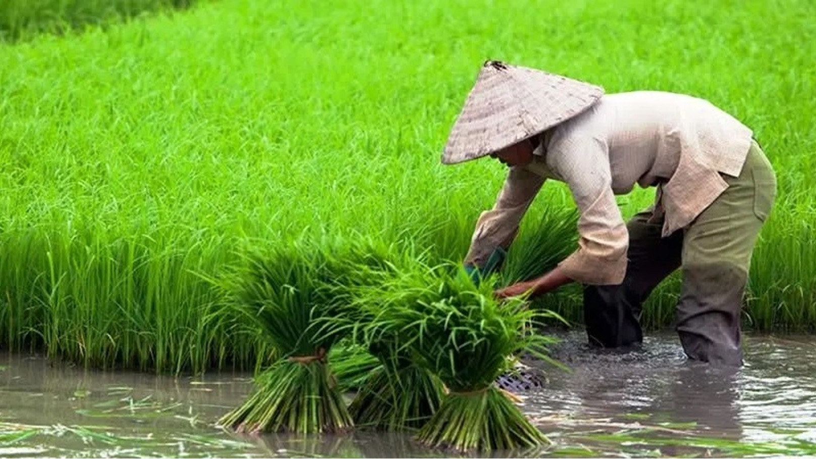 d91d3b36-facc-4a2a-b8ec-864096235de1